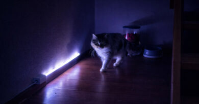 💡 LumiSetup : Ma lampe connectée (ESP8266 + PIR + WS2812B