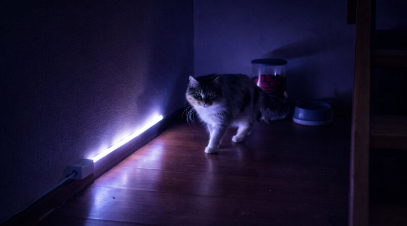 💡 LumiSetup : Ma lampe connectée (ESP8266 + PIR + WS2812B